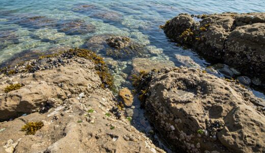 ロックショア服装 完全ガイド！安全＆快適コスパ最強ウェア選びの秘訣とは？